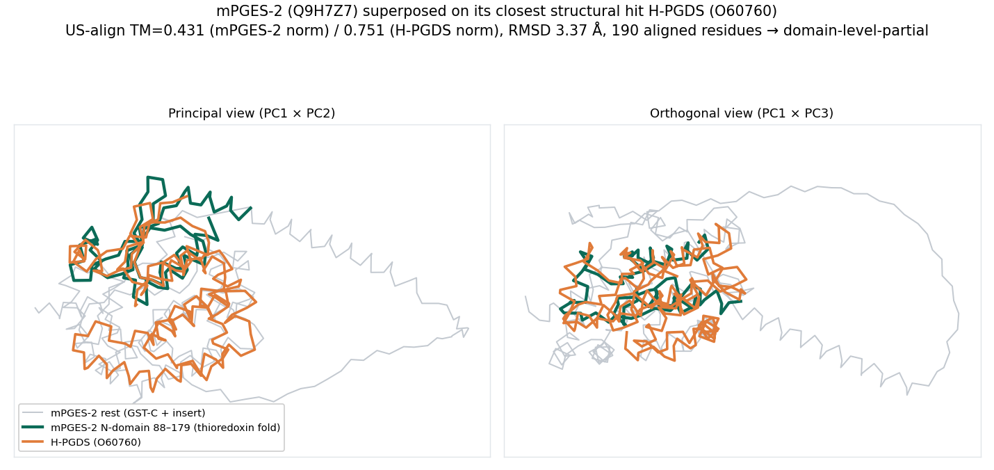 Cα-backbone superposition of mPGES-2 (Q9H7Z7) onto H-PGDS (O60760); the H-PGDS chain overlaps mPGES-2's N-terminal thioredoxin domain (residues 88-179).